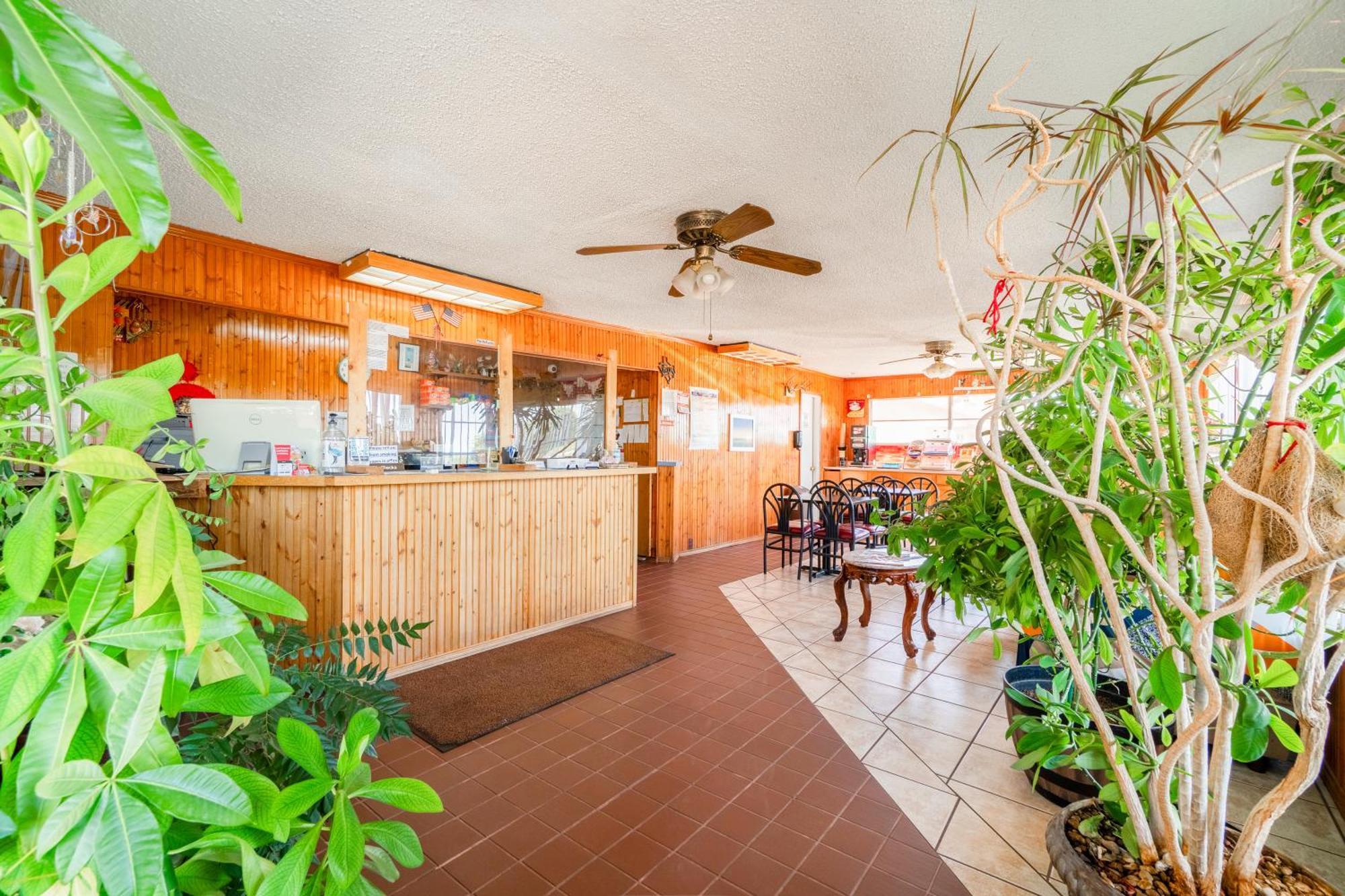 Lone Star Inn By Oyo Vernon Texas Hwy 287 Екстер'єр фото